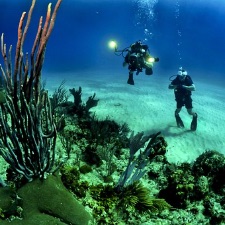 Dykkerklubben Køge Bugt - Aqua