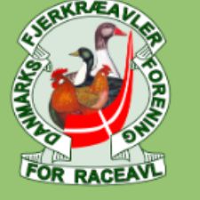 Fjerkræavlerforening for Raceavl