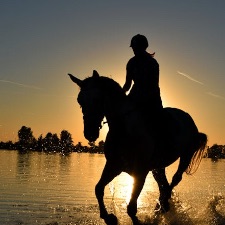 Hørning Sportsrideklub