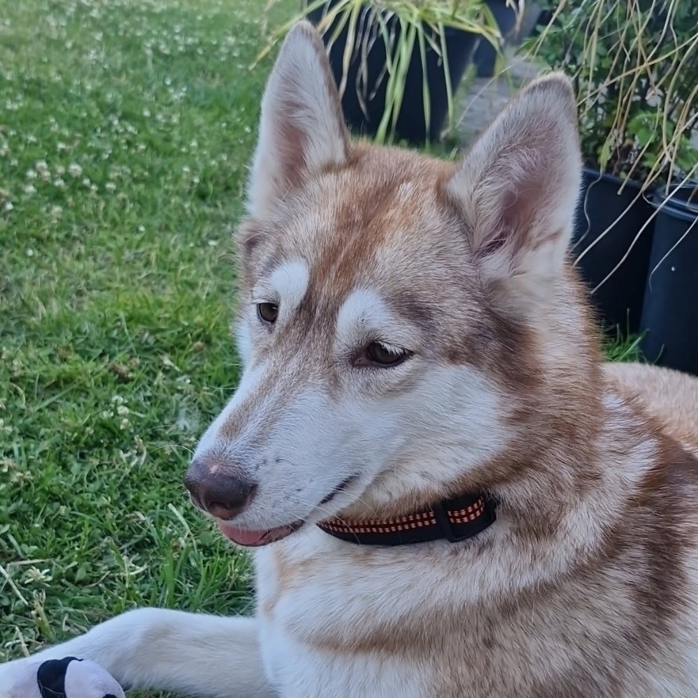 Søger venskaber🌹