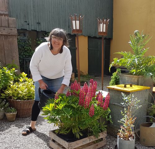 Cebina dansede sig ind i det nye år blandt 40 nytårsvenner