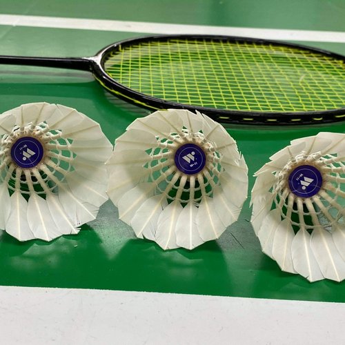 Badminton