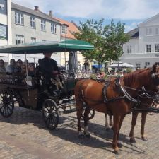 Hestevognstur hele juli måned
