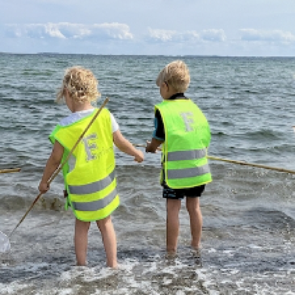 Dyrene i vandet i havnen
